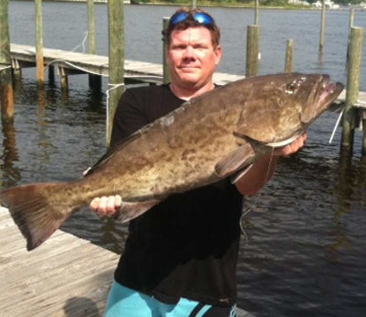 Man holding up grouper caught on fishing trip.