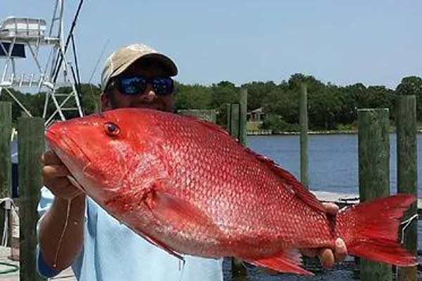 Fisherman holding up red snapper