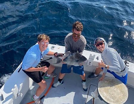 triggerfish